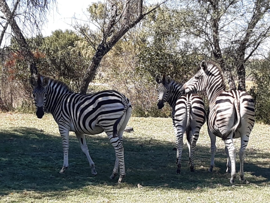 4 Bedroom Property for Sale in River Lodge Estate Free State